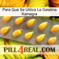 Para Qué Se Utiliza La Gelatina Kamagra cialis1